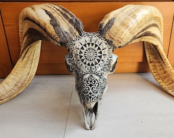 ram skull carving round grey