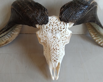 ram skull carving Hart white