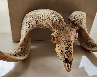 Carved Ram Skull with Lotus design