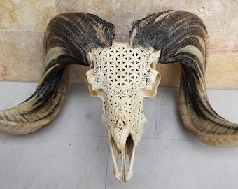 carve ram skull viking antic