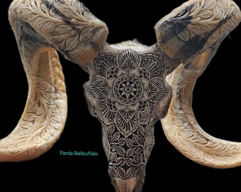 carved ram skull mandala grey carved horn