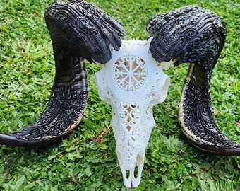 carved ram skull viking white HUGE size