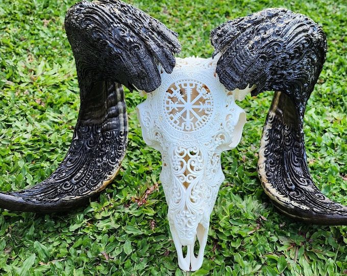 carved ram skull viking white HUGE size