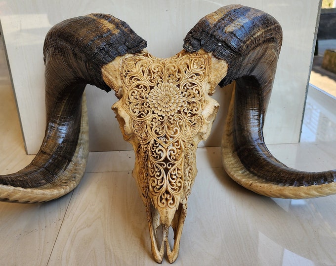 carve goat skull carving half mandala