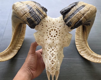 Hand Carved Ram Skull Mandala – Real Horn Boho Gothic Wall Decor