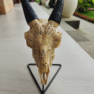 Carve goat skull carving lotus antic