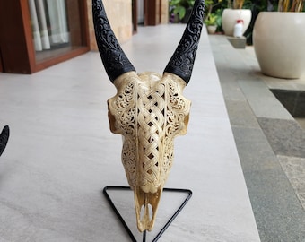 Carve goat skull carving celtic antic