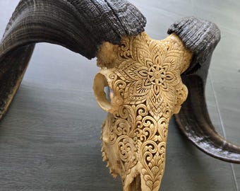 Real Ram Skull with Mandala Engraving – Ethical Bone Carving – Tribal Wall Art