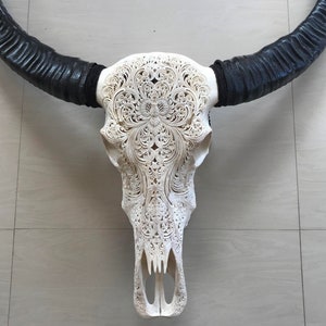 Carved buffalo skull carving floral