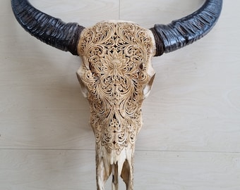 Carved buffalo skull floral antic