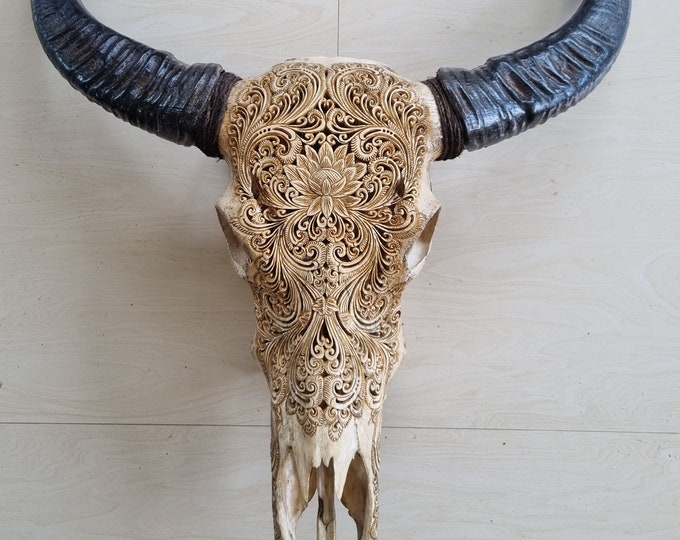 Carved buffalo skull floral antic