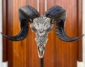 carved ram skull owl grey