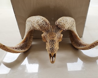 Carved Ram Skull with Lotus