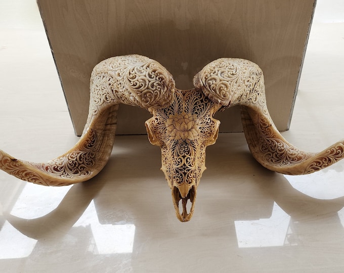 carved ram skull carving Lotus full carved horn