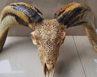 carved ram skull carving Lotus