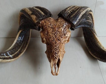 ram skull carve sheep skull carving half mandala