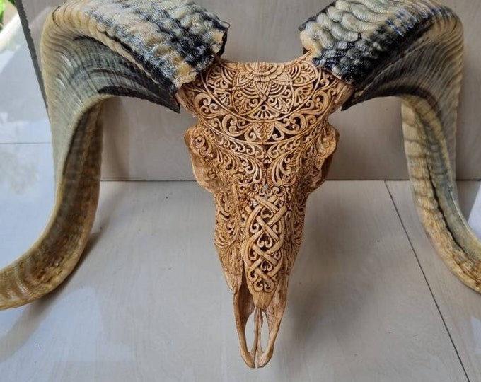 Carve sheep skull carving half mandala
