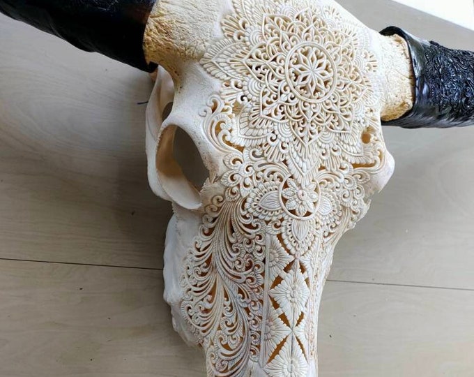 carve buffalo skull with long carved horn mandala