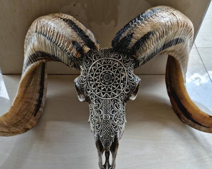 carve ram skull carving round