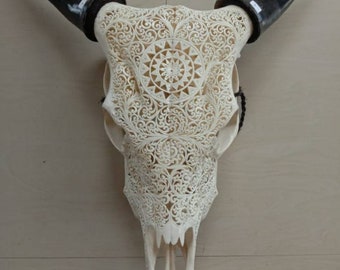 carved cow skull carving round in patern