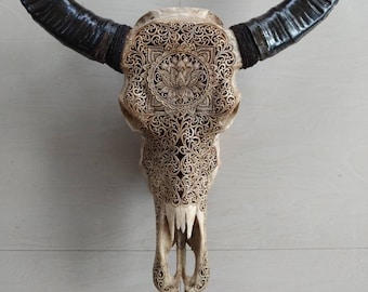 Carve buffalo skull lotus padma antic