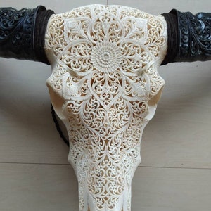 carved buffalo skull with long carved horn