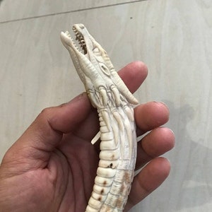 Deer antler carving for knife handle antler