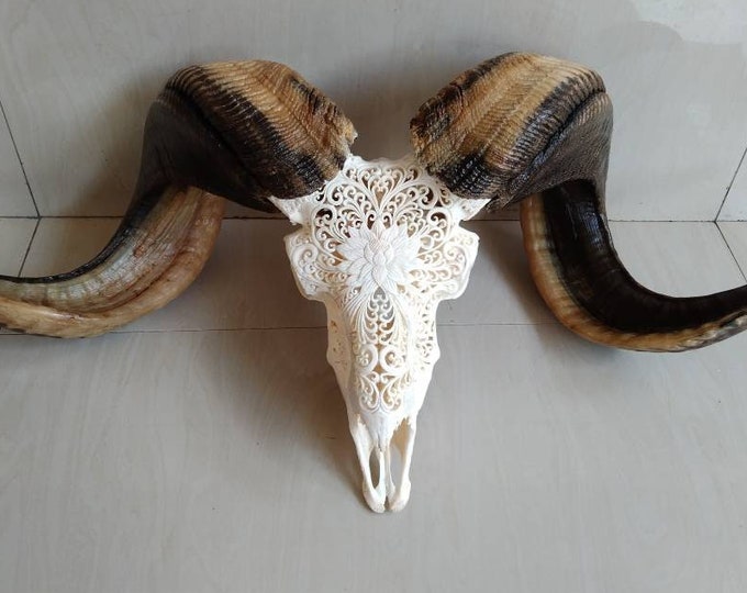 ram skull carving Lotus white skull