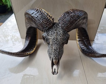 carve ram skull carving flower grey