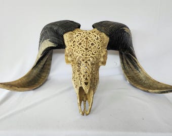 carved ram skull carving celtic antique