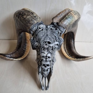 carve ram skull octopus on skull
