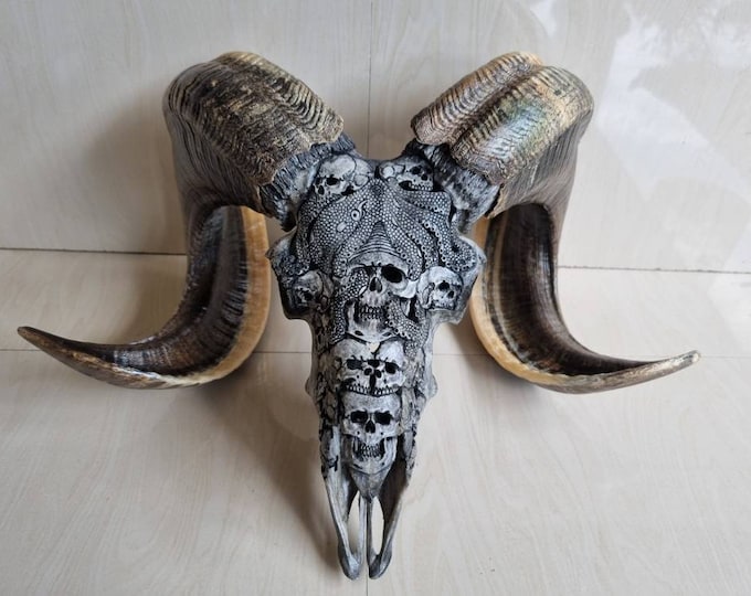 carve ram skull octopus on skull