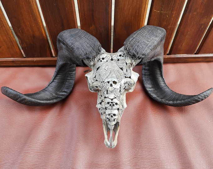 ram skull octopus with skull
