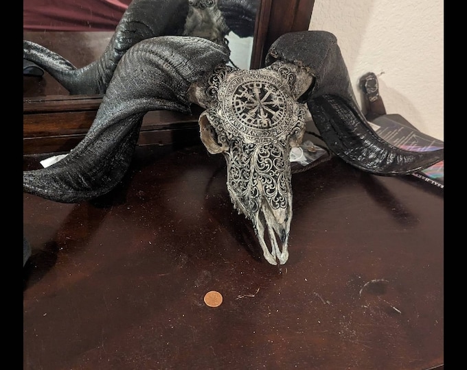 carve goat skull carving viking grey HUGE