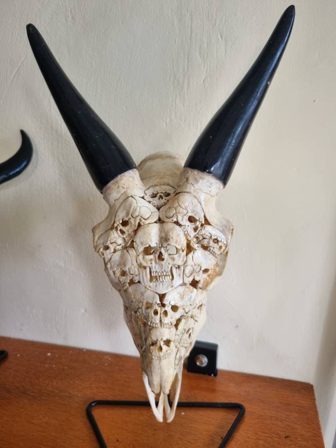 ヤギの頭蓋骨と人間の頭蓋骨を彫る - Etsy 日本