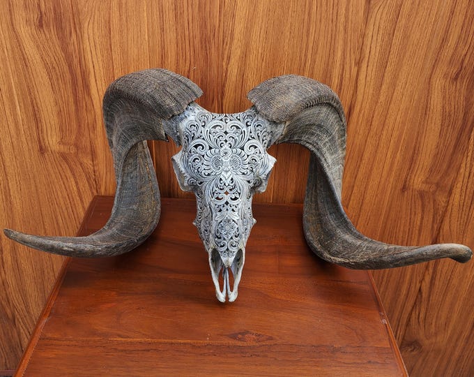 carve ram skull carving floral grey