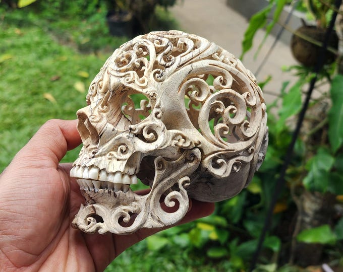 Wood Skull Sculpture Detailed Hand-Carved tamarine