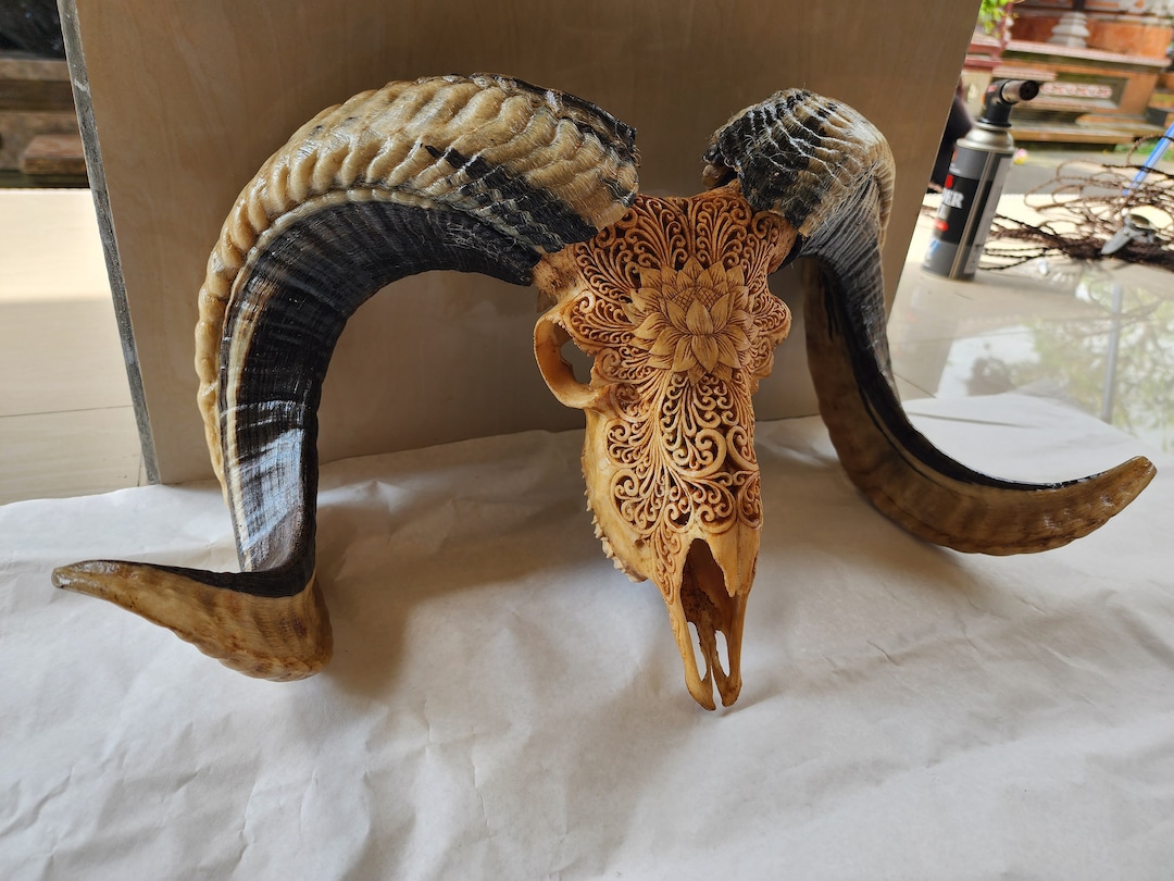 石の頭蓋骨オブジェ モルタル セメント 彫刻 アート 芸術 アンティーク