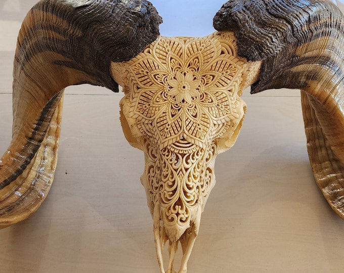 carve ram skull carving mandala