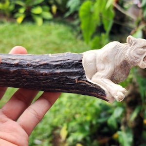 Puede incluir: Un mango de madera tallada con una escultura detallada de un león rugiente. El león es de color claro, contrastando con la madera marrón oscura. El mango parece estar hecho de un trozo de rama de árbol.