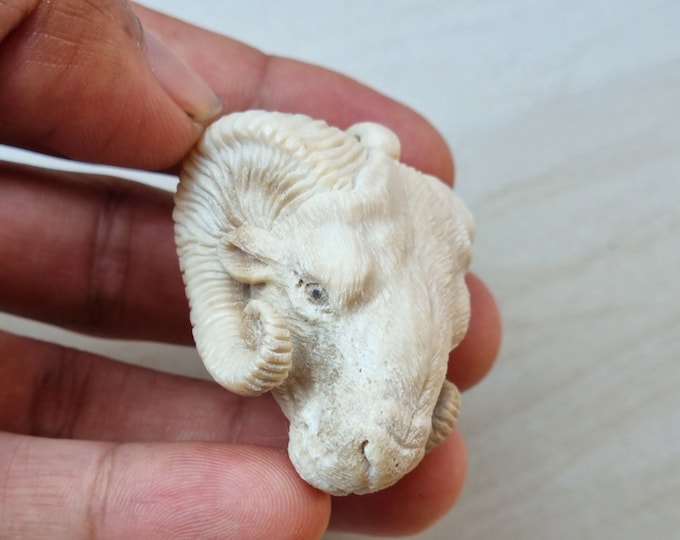 Antler carving niecklase ram head