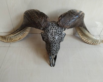 carved ram skull HART grey