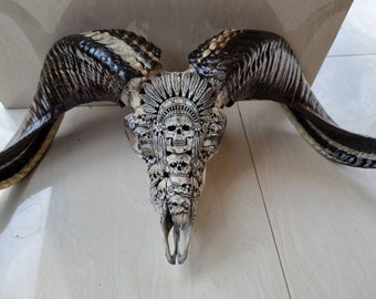 Carved Ram Skull: Indian Skull Art, Natural Bone Horns
