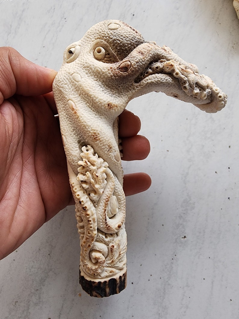 May include: A hand-carved walking stick handle made from antler, featuring a detailed octopus design with textured skin and prominent eyes.