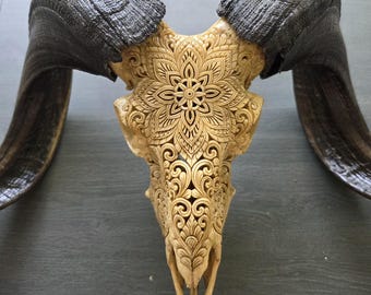 Real Ram Skull with Mandala Engraving – Ethical Bone Carving – Tribal Wall Art
