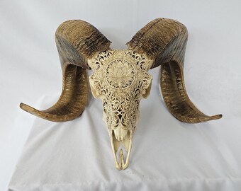 carve ram skull carving lotus tatto style