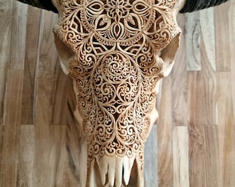carved buffalo skull small carving round its not cow skull