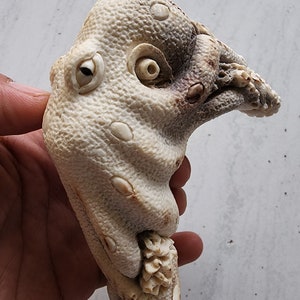 May include: A carved, off-white sculpture of a creature with a textured, bumpy surface. The sculpture has a detailed eye, a curved beak-like structure, and several raised, oval-shaped details. The base of the sculpture has a floral pattern.