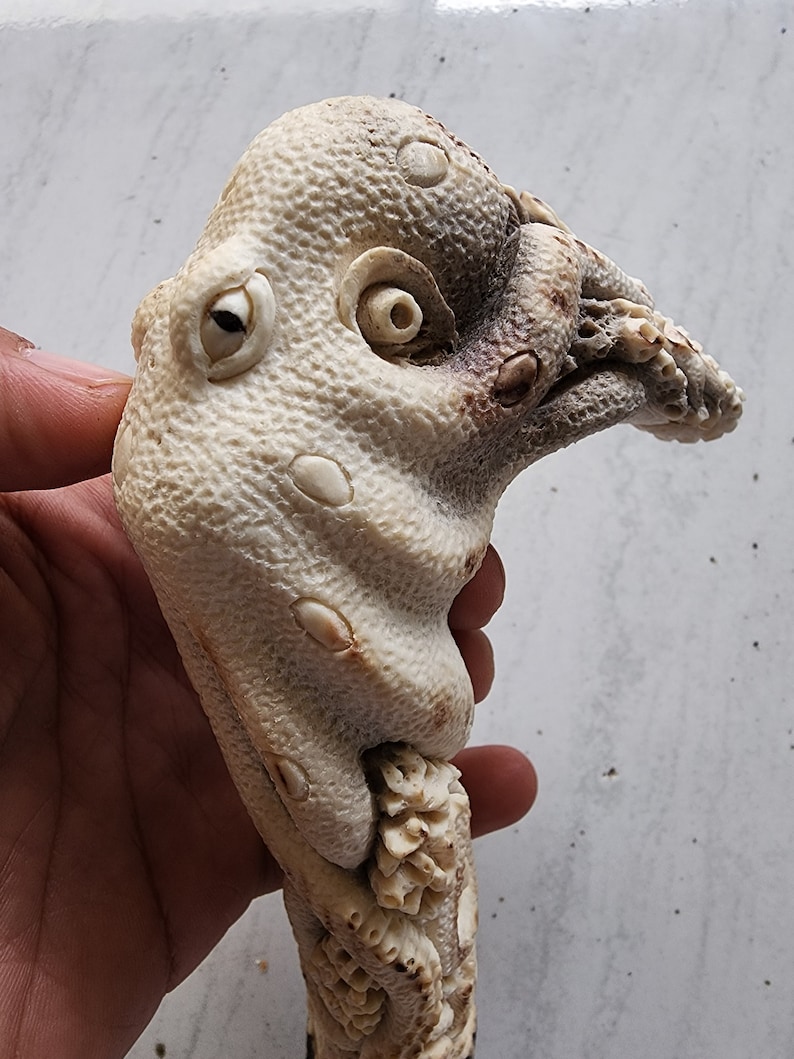 May include: A carved, off-white sculpture of a creature with a textured, bumpy surface. The sculpture has a detailed eye, a curved beak-like structure, and several raised, oval-shaped details. The base of the sculpture has a floral pattern.