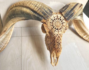 Carved Ram Skull Mandala Antique Tribal Wall Art